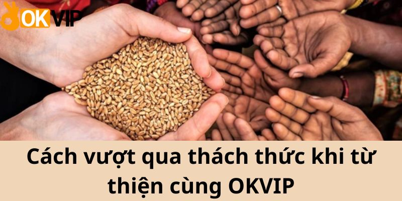 Cách vượt qua thách thức khi từ thiện cùng OKVIP