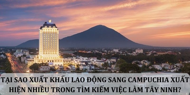 Tại sao xuất khẩu lao động sang Campuchia xuất hiện nhiều trong tìm kiếm việc làm Tây Ninh?