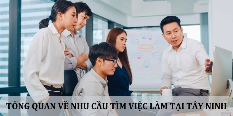 Tổng quan về nhu cầu tìm việc làm tại Tây Ninh